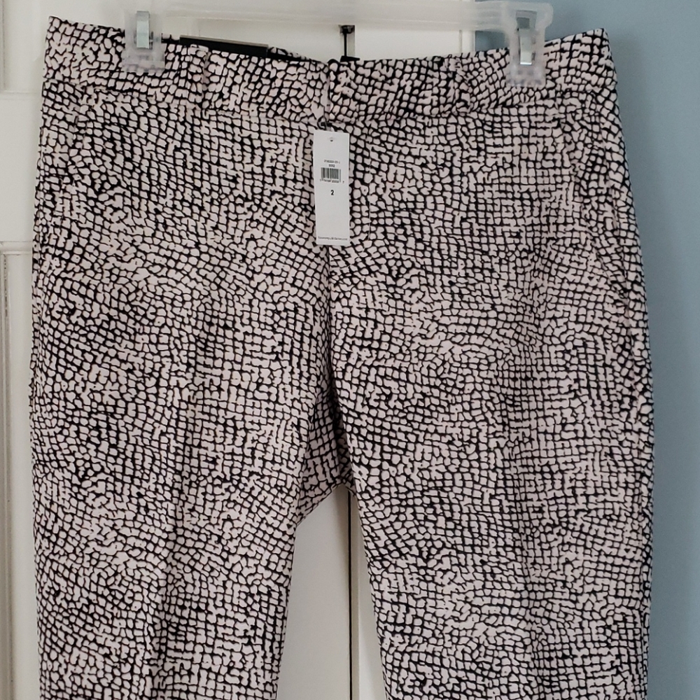 Banana Republic Factory Ryan Pants